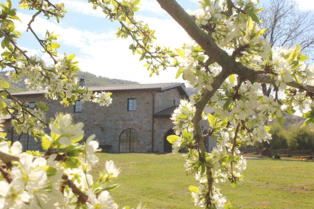 Villa Lavanda Elena Εξωτερικό φωτογραφία